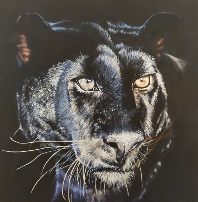 Black panther tiger wildlife animals paintings 