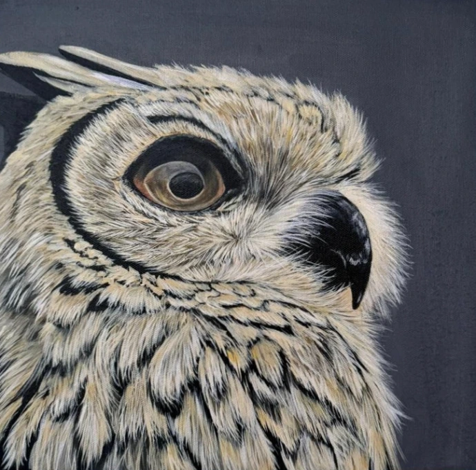 owl bird artworks acrylic paintings hardeep kaur